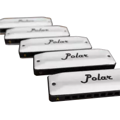 Harmo Polar pro pack set of 5 harmonica with gig bag and keychain harmonica