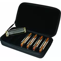 Hohner Marine Band classic 5-piece Harmonica Set with Case