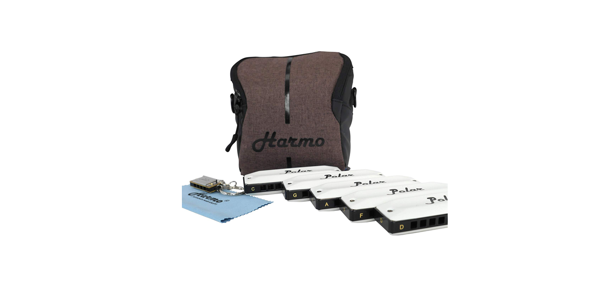 Harmonica set for beginners